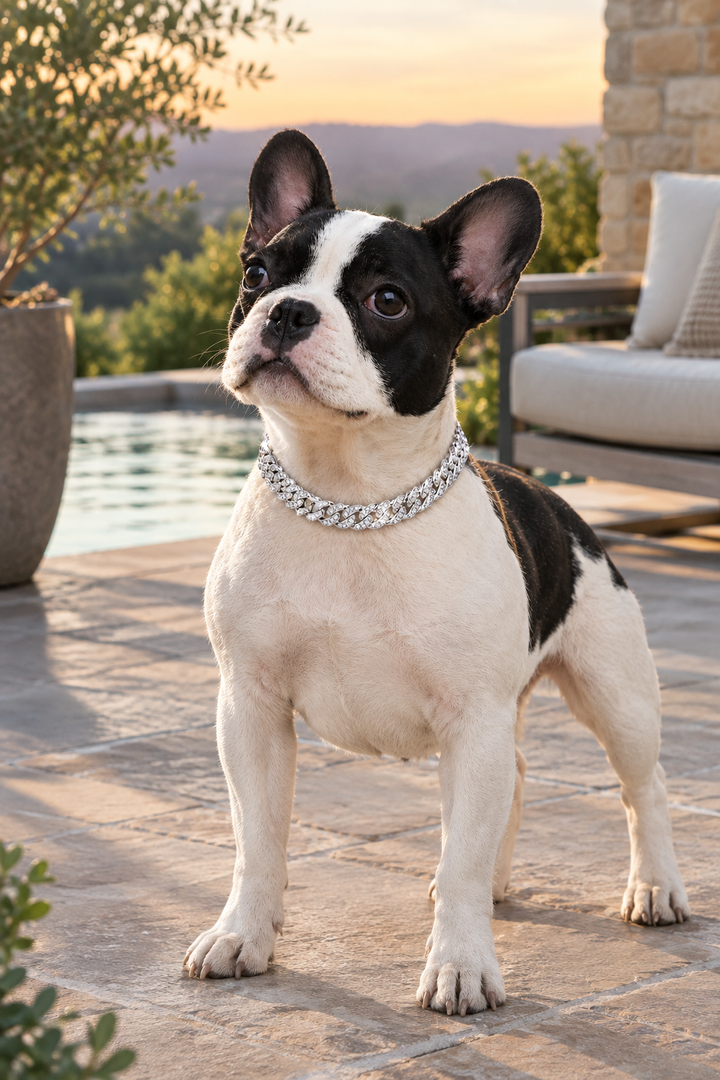 ✨ Shiny Diamond Safety Metal Pet Necklace