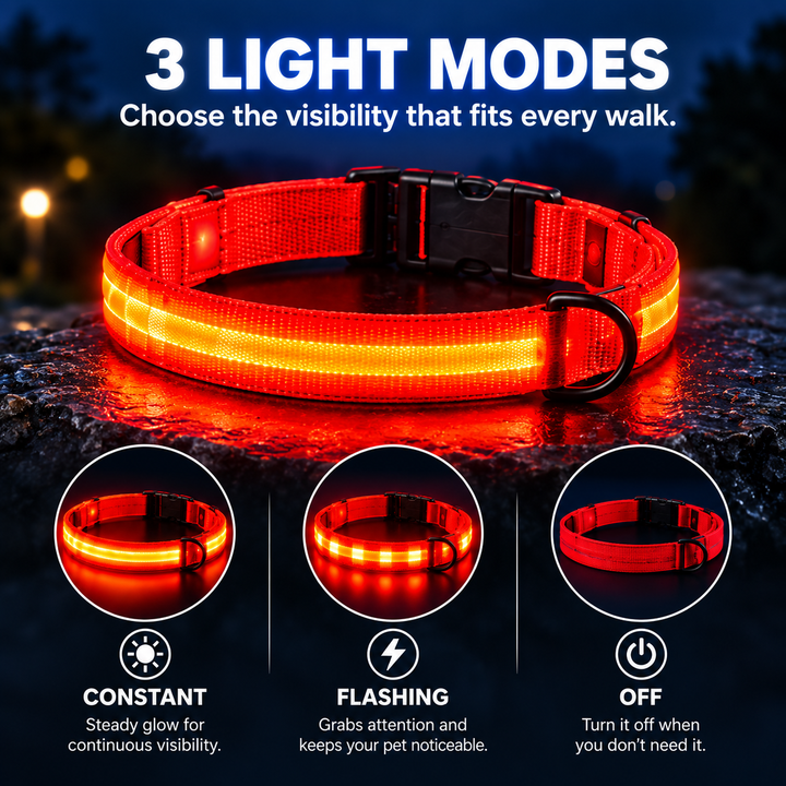 LED Pet Safety Collar