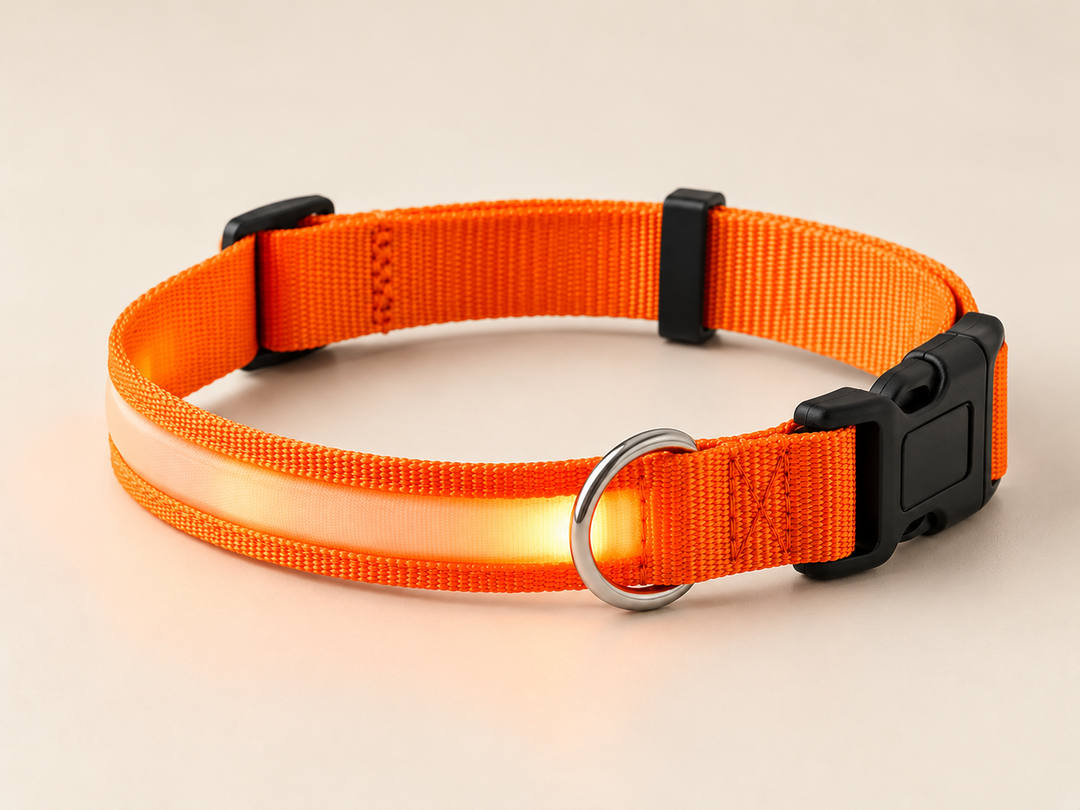 Bright LED Safety Collar for Dogs and Cats