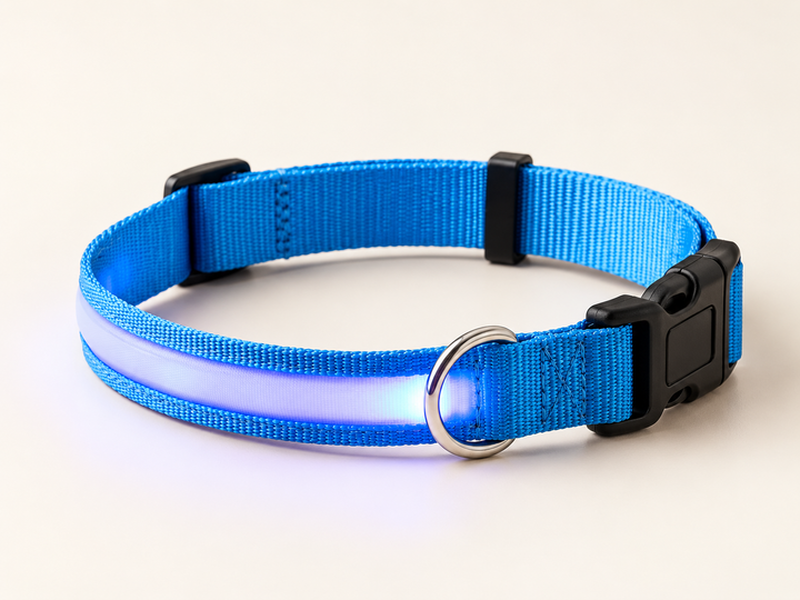 Bright LED Safety Collar for Dogs and Cats