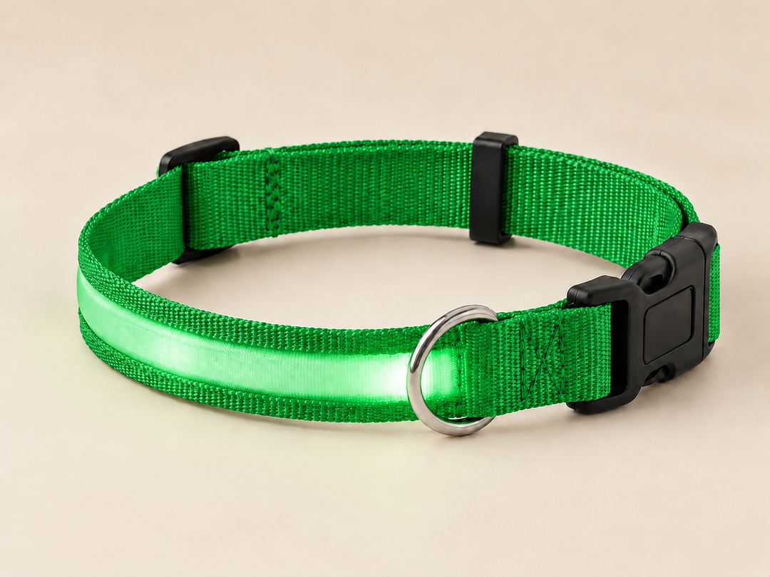 Bright LED Safety Collar for Dogs and Cats